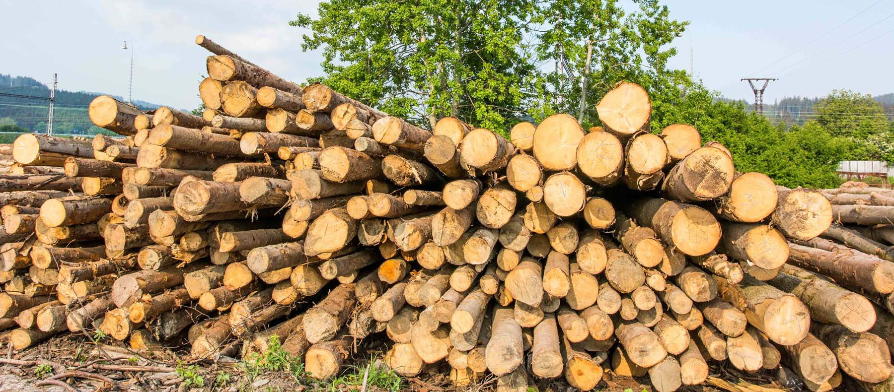 Obchod se dřevem